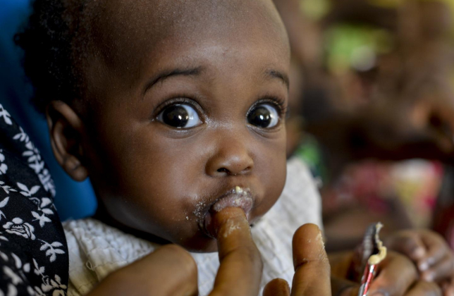 Infant tasting RUTF packet from mother's finger